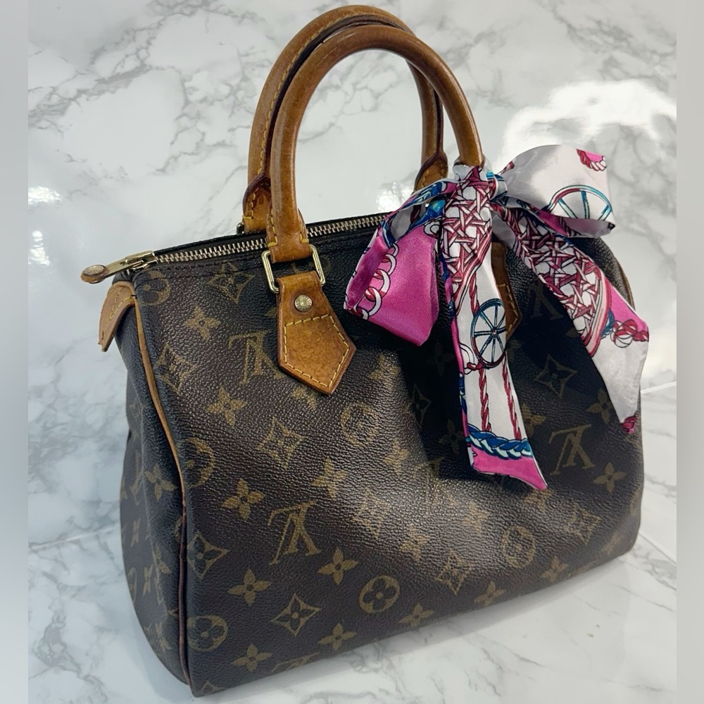 Louis Vuitton Speedy 25 Monogram Handbag - Picture 3 of 16